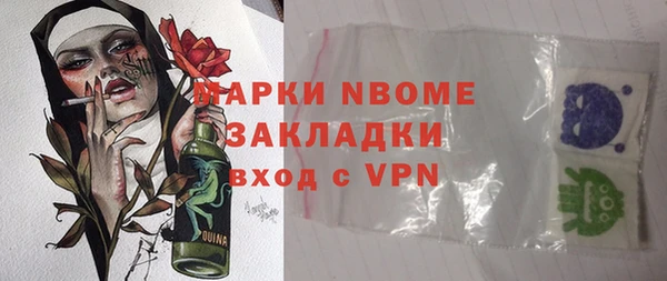 ГАЛЛЮЦИНОГЕННЫЕ ГРИБЫ Дмитриев