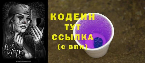 ГАЛЛЮЦИНОГЕННЫЕ ГРИБЫ Дмитриев