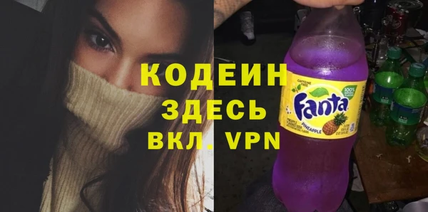 ГАЛЛЮЦИНОГЕННЫЕ ГРИБЫ Дмитриев