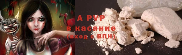ГАЛЛЮЦИНОГЕННЫЕ ГРИБЫ Дмитриев