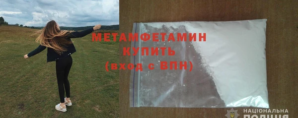 ГАЛЛЮЦИНОГЕННЫЕ ГРИБЫ Дмитриев