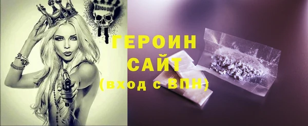 ГАЛЛЮЦИНОГЕННЫЕ ГРИБЫ Дмитриев