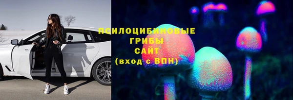 МДПВ Дмитровск