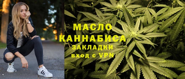 ГАЛЛЮЦИНОГЕННЫЕ ГРИБЫ Дмитриев