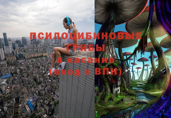 ГАЛЛЮЦИНОГЕННЫЕ ГРИБЫ Дмитриев