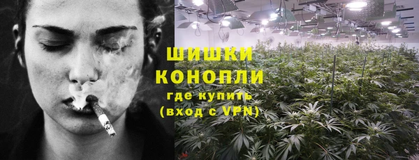 МДПВ Дмитровск