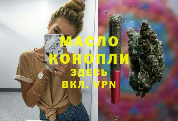 ГАЛЛЮЦИНОГЕННЫЕ ГРИБЫ Дмитриев