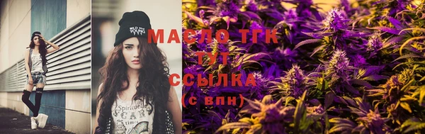 ГАЛЛЮЦИНОГЕННЫЕ ГРИБЫ Дмитриев