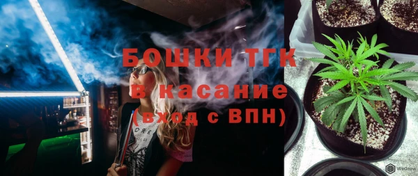 ГАЛЛЮЦИНОГЕННЫЕ ГРИБЫ Дмитриев