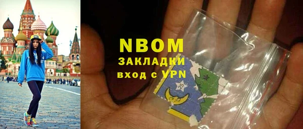 ГАЛЛЮЦИНОГЕННЫЕ ГРИБЫ Дмитриев
