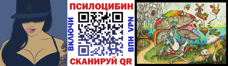Галлюциногенные грибы GOLDEN TEACHER  где можно купить наркотик  blacksprut ССЫЛКА  Чегем 